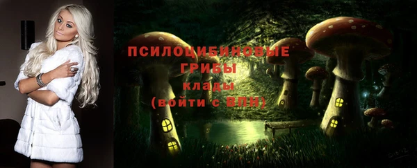амф Кодинск