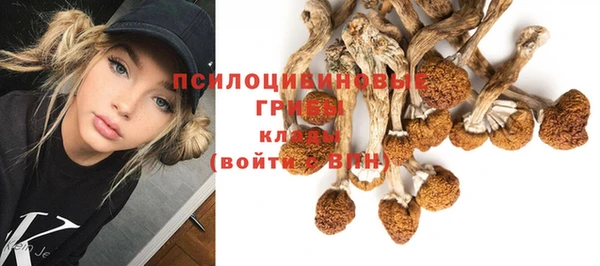 амф Кодинск