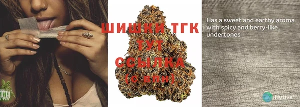 амф Кодинск