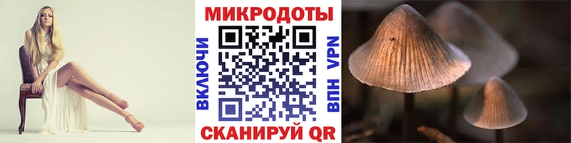 Галлюциногенные грибы Psilocybe  Купить где  Макушино 